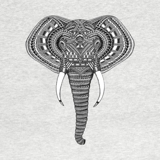 Elephant by By_StineLee